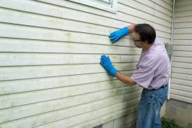 Best Siding Painting and Refinishing  in Utqiagvik, AK